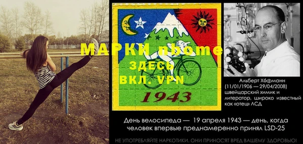гашик Богданович
