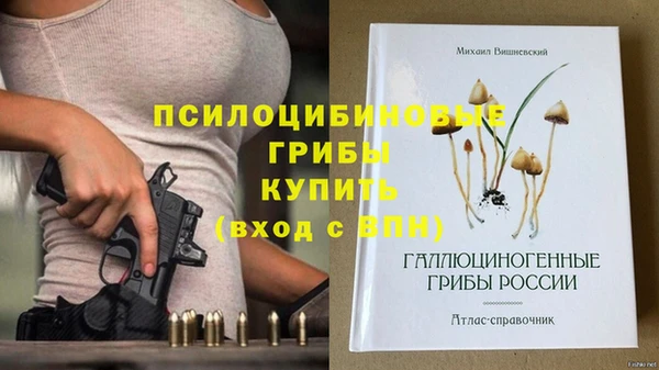 винт Богородицк