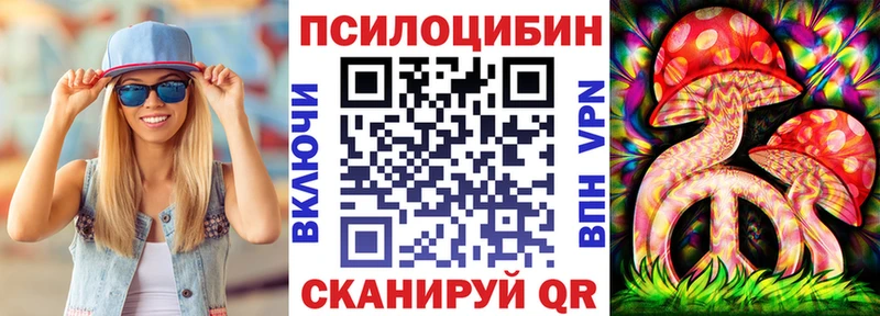 Галлюциногенные грибы Psilocybe Алексин