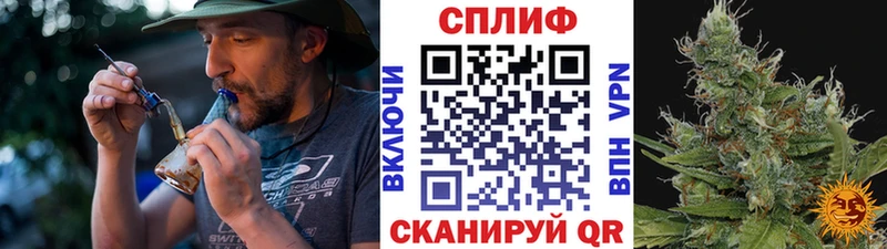 Купить где  Алексин  Канабис планчик 